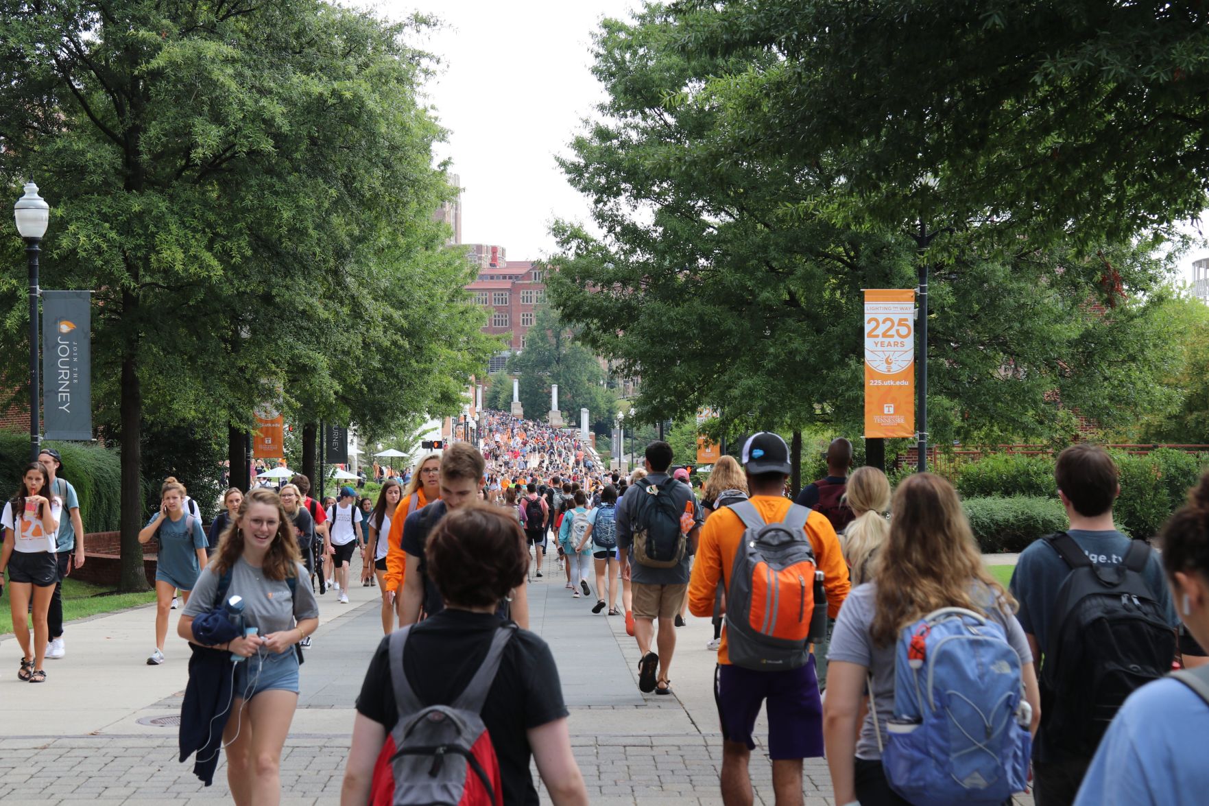 Ped Walkway 2019